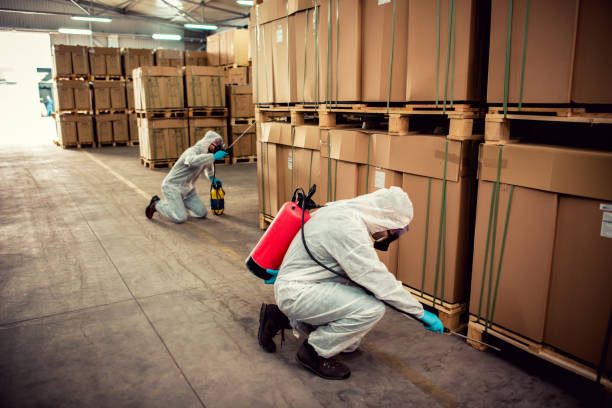 Best Pest Control Near Me  in Monroe, NC