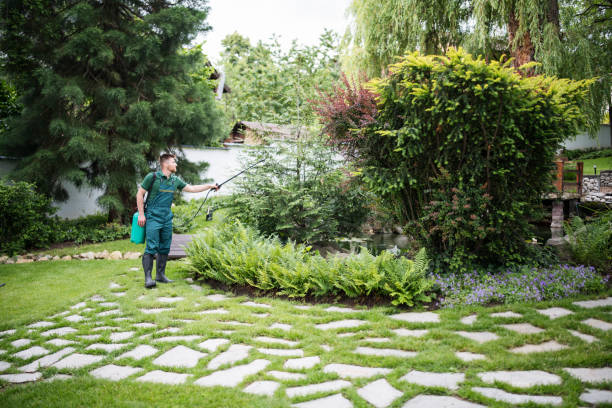 Best Affordable Pest Control Services  in Monroe, NC