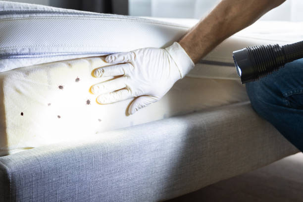 Best Residential Pest Control  in Monroe, NC