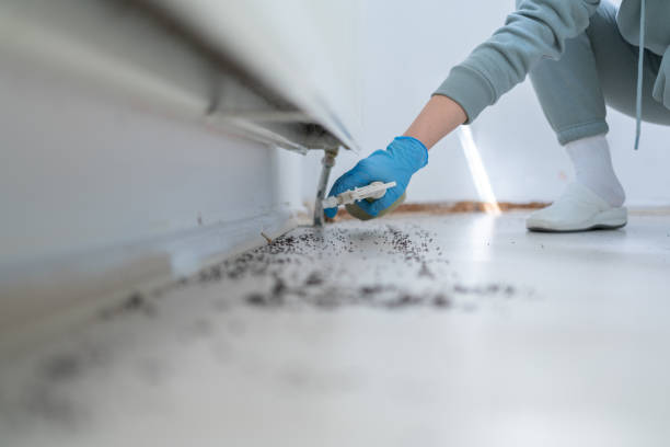 Best Mosquito Control Services  in Monroe, NC