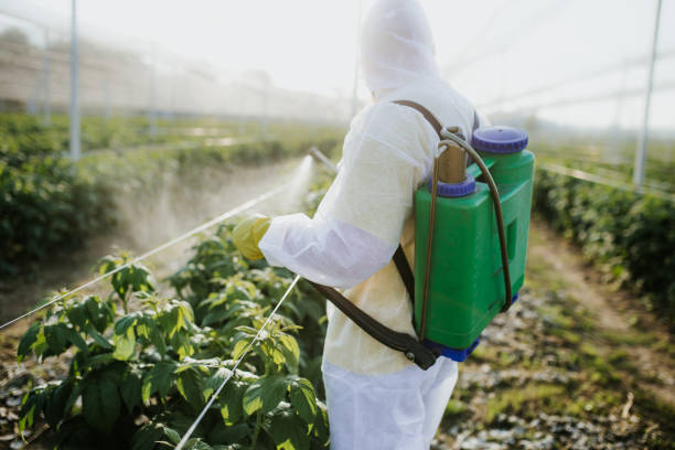 Best Emergency Pest Control  in Monroe, NC